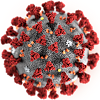 COVID_Virus